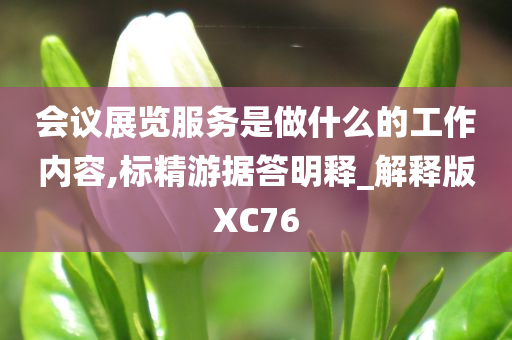 会议展览服务是做什么的工作内容,标精游据答明释_解释版XC76