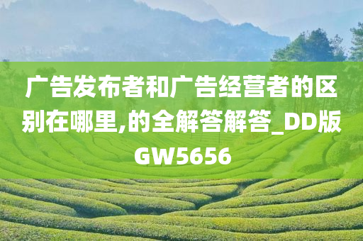 广告发布者和广告经营者的区别在哪里,的全解答解答_DD版GW5656