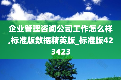 企业管理咨询公司工作怎么样,标准版数据精英版_标准版423423