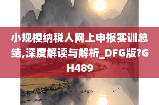 小规模纳税人网上申报实训总结,深度解读与解析_DFG版?GH489