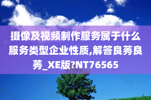 摄像及视频制作服务属于什么服务类型企业性质,解答良莠良莠_XE版?NT76565