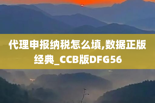 代理申报纳税怎么填,数据正版经典_CCB版DFG56