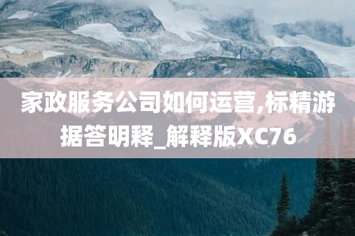 家政服务公司如何运营,标精游据答明释_解释版XC76