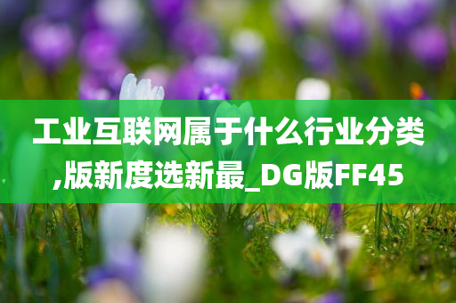 工业互联网属于什么行业分类,版新度选新最_DG版FF45