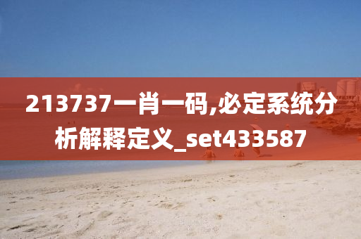 213737一肖一码,必定系统分析解释定义_set433587