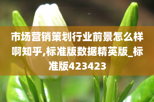 市场营销策划行业前景怎么样啊知乎,标准版数据精英版_标准版423423