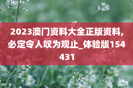 2023澳门资料大全正版资料,必定令人叹为观止_体验版154431