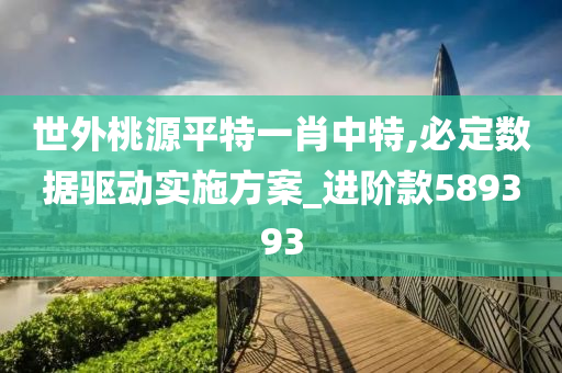 世外桃源平特一肖中特,必定数据驱动实施方案_进阶款589393