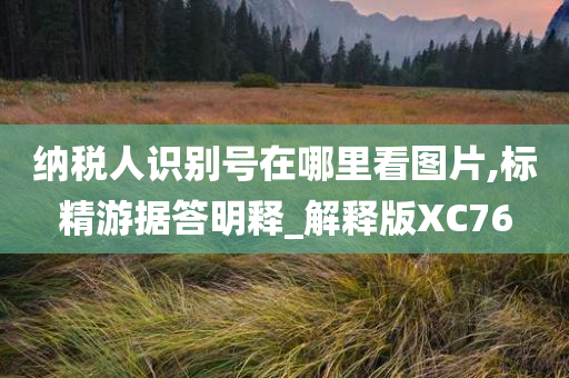 纳税人识别号在哪里看图片,标精游据答明释_解释版XC76