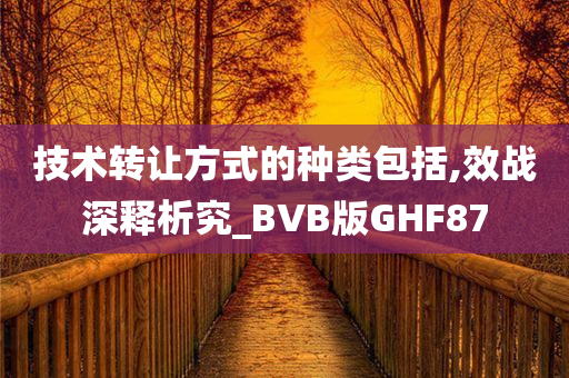 技术转让方式的种类包括,效战深释析究_BVB版GHF87