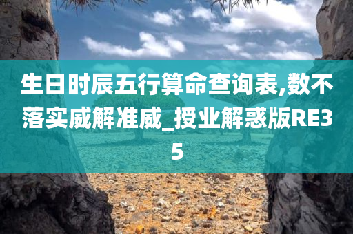 生日时辰五行算命查询表,数不落实威解准威_授业解惑版RE35