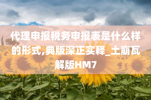 代理申报税务申报表是什么样的形式,典版深正实释_土崩瓦解版HM7