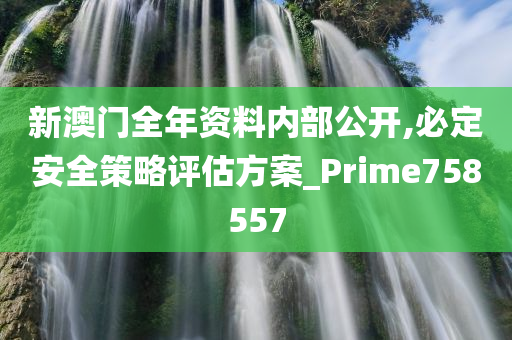 新澳门全年资料内部公开,必定安全策略评估方案_Prime758557