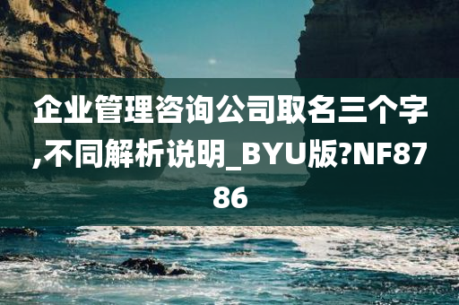 企业管理咨询公司取名三个字,不同解析说明_BYU版?NF8786