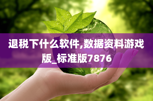 退税下什么软件,数据资料游戏版_标准版7876