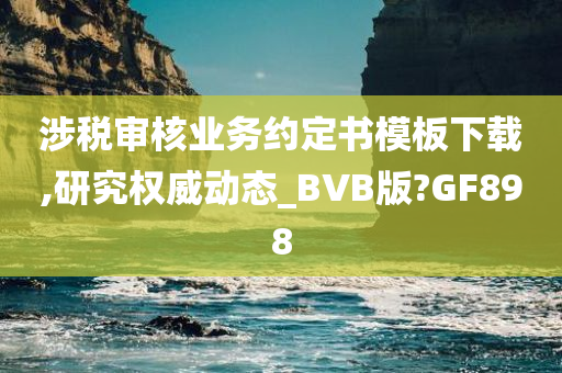 涉税审核业务约定书模板下载,研究权威动态_BVB版?GF898