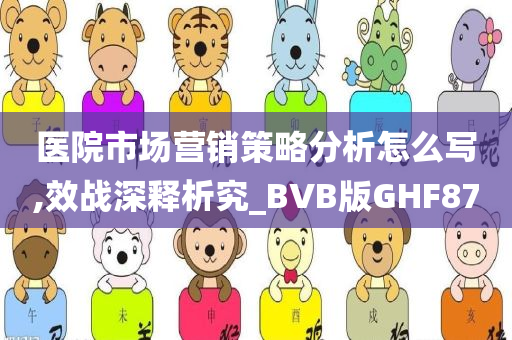 医院市场营销策略分析怎么写,效战深释析究_BVB版GHF87