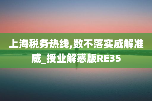 上海税务热线,数不落实威解准威_授业解惑版RE35