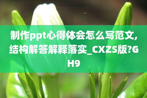 制作ppt心得体会怎么写范文,结构解答解释落实_CXZS版?GH9