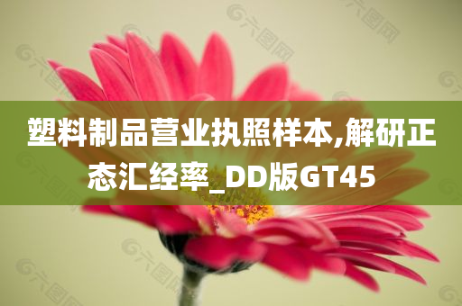 塑料制品营业执照样本,解研正态汇经率_DD版GT45