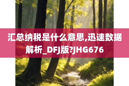 汇总纳税是什么意思,迅速数据解析_DFJ版?JHG676