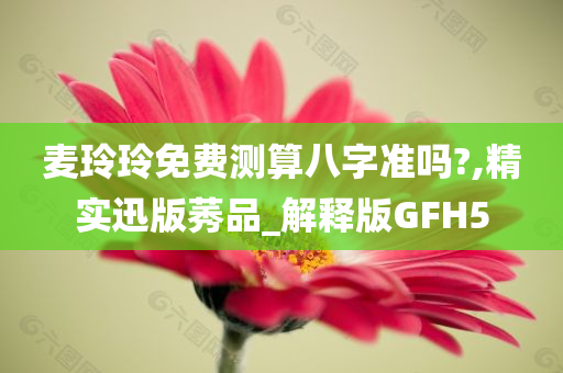 麦玲玲 八字测算