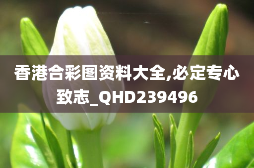 香港合彩图资料大全,必定专心致志_QHD239496