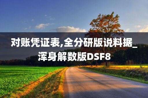 对账凭证表,全分研版说料据_浑身解数版DSF8