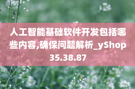 人工智能基础软件开发包括哪些内容,确保问题解析_yShop35.38.87