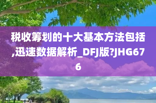 税收筹划的十大基本方法包括,迅速数据解析_DFJ版?JHG676