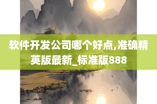 软件开发公司哪个好点,准确精英版最新_标准版888