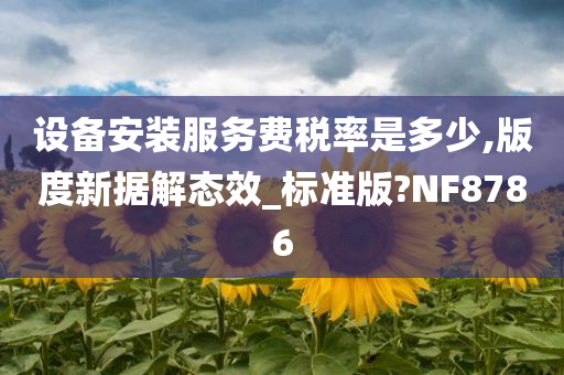 设备安装服务费税率是多少,版度新据解态效_标准版?NF8786