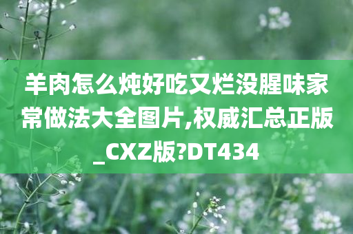 羊肉怎么炖好吃又烂没腥味家常做法大全图片,权威汇总正版_CXZ版?DT434