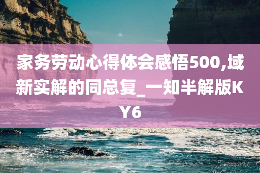 家务劳动心得体会感悟500,域新实解的同总复_一知半解版KY6