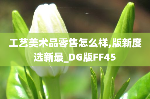 工艺美术品零售怎么样,版新度选新最_DG版FF45