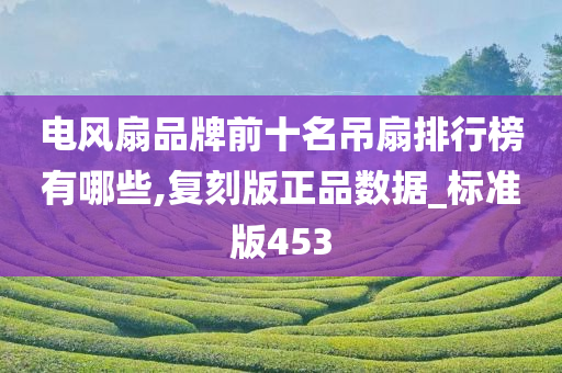 电风扇品牌前十名吊扇排行榜有哪些,复刻版正品数据_标准版453