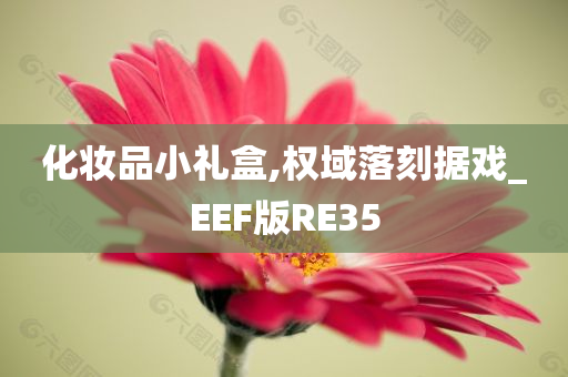 化妆品小礼盒,权域落刻据戏_EEF版RE35