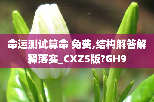 命运测试算命 免费,结构解答解释落实_CXZS版?GH9