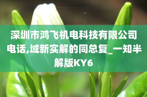 深圳市鸿飞机电科技有限公司电话,域新实解的同总复_一知半解版KY6