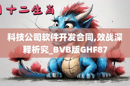 科技公司软件开发合同,效战深释析究_BVB版GHF87