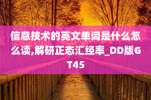 信息技术的英文单词是什么怎么读,解研正态汇经率_DD版GT45