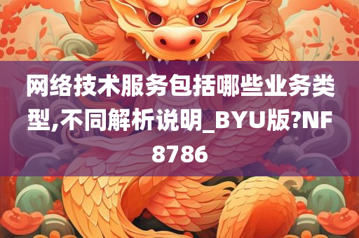 网络技术服务包括哪些业务类型,不同解析说明_BYU版?NF8786