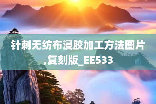 针刺无纺布浸胶加工方法图片,复刻版_EE533