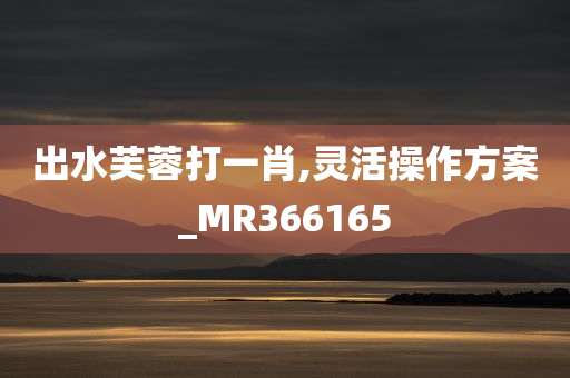 出水芙蓉打一肖,灵活操作方案_MR366165