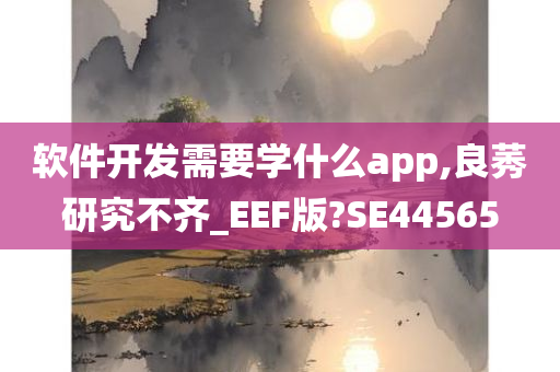 软件开发需要学什么app,良莠研究不齐_EEF版?SE44565