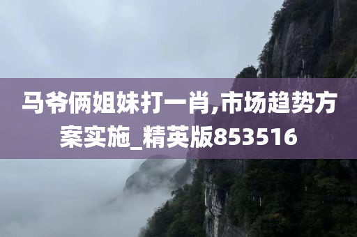 马爷俩姐妹打一肖,市场趋势方案实施_精英版853516