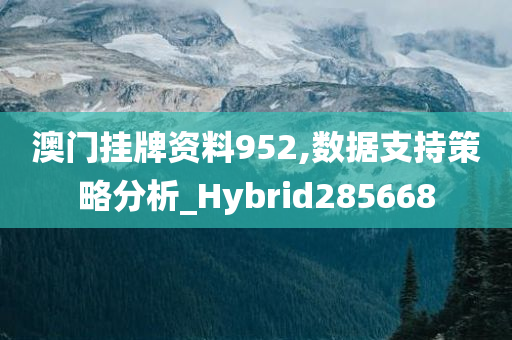 澳门挂牌资料952,数据支持策略分析_Hybrid285668