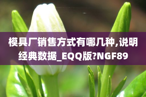 模具厂销售方式有哪几种,说明经典数据_EQQ版?NGF89