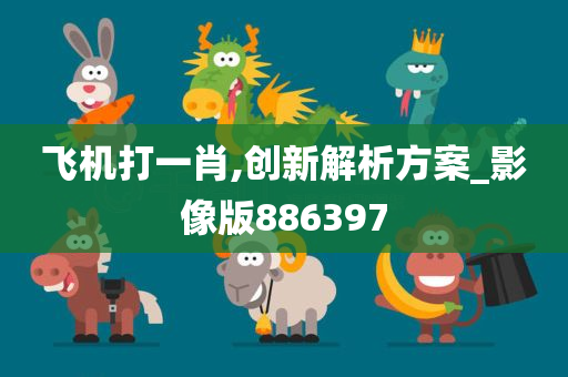 飞机打一肖,创新解析方案_影像版886397