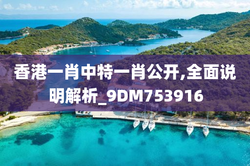 香港一肖中特一肖公开,全面说明解析_9DM753916